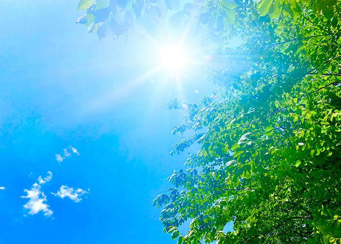 指先から、8月の思い出をもっと彩って⭐︎