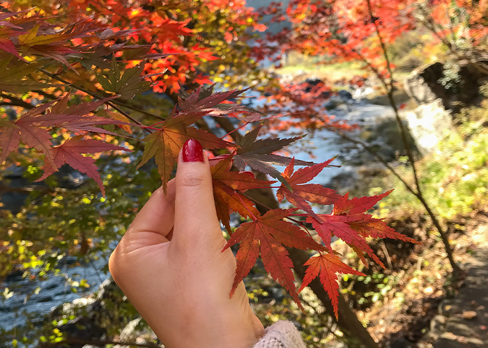 シンプル10月ネイルで、指先から秋の余裕を♡