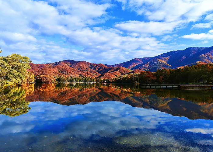 秋ネイルに映える“紅葉配色”のセオリー