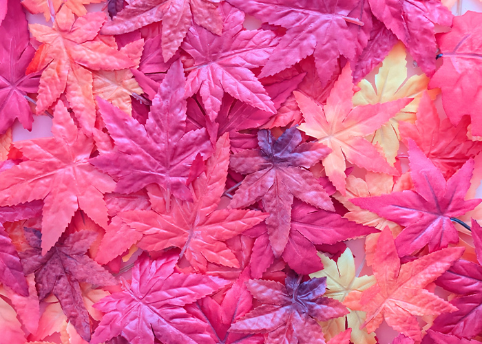 シール・スタンプを活用した簡単アート