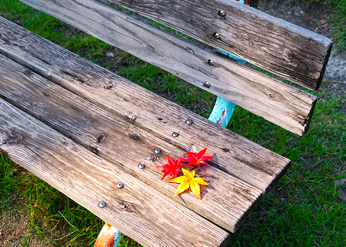 派手にならない!ミニマルな紅葉アートの入れ方