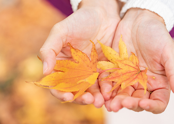 紅葉ネイルをシンプルに楽しむための3つのコツ
