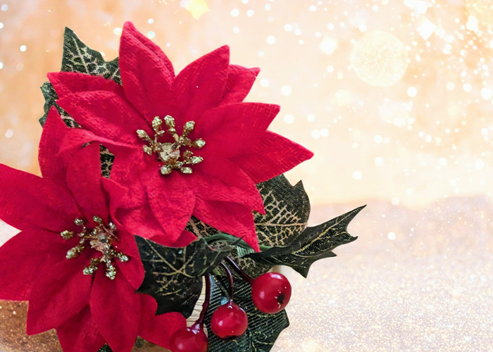 シンプルクリスマスネイルがくれる、冬の小さなときめき時間