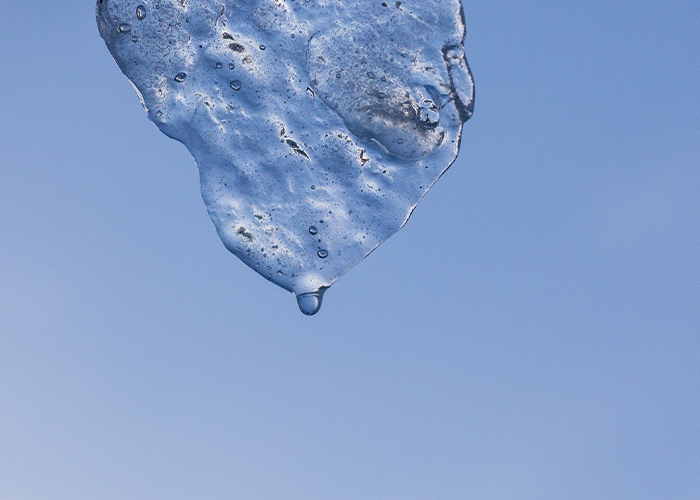 冬の光をふんわり映す“透け感ニュアンス”