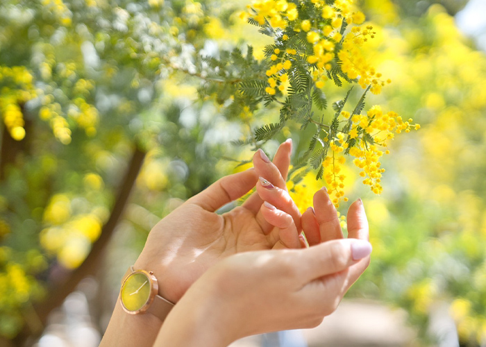 2月ネイルで整える☆指先から始まる心地いい毎日