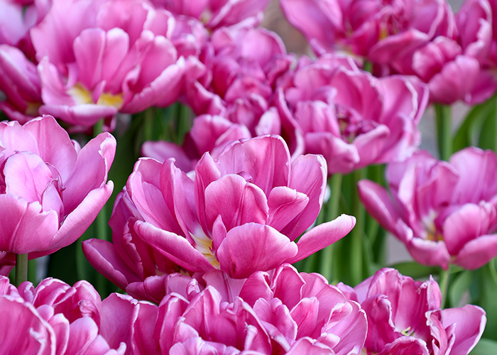 まずは「大人可愛い」か「シンプル」かを決めよう♪