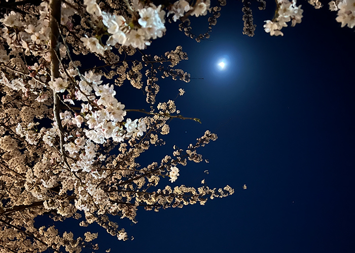 3月のネイル、みんな何を選んでる？季節の変わり目のリアルな傾向