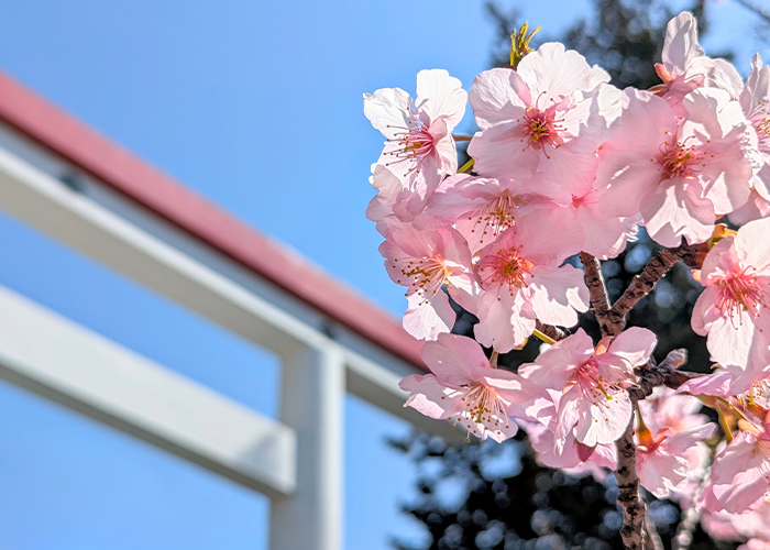 卒業式ネイルって何が正解？迷いがちな3つの判断基準