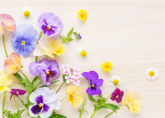 トレンド感を楽しむ♡春ネイルデザイン15選