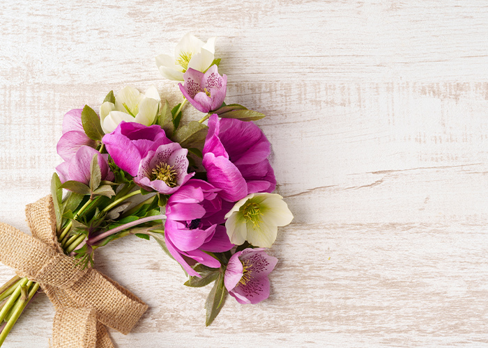 さりげなく取り入れる◎シンプルな春ネイル7選♪