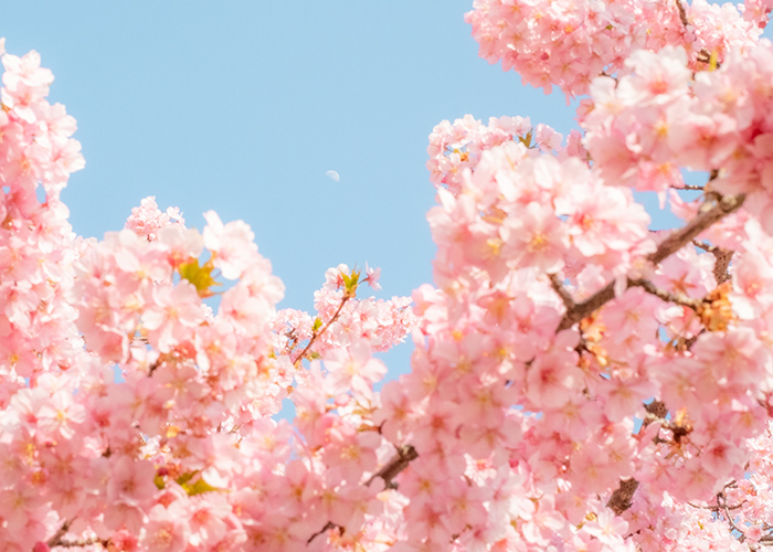 4月ネイルはどんな雰囲気が正解？春らしさと今っぽさのバランス♡