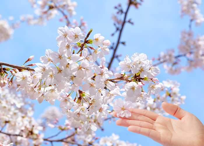 さりげない春感がちょうどいい♪シンプルで取り入れやすい4月ネイル7選