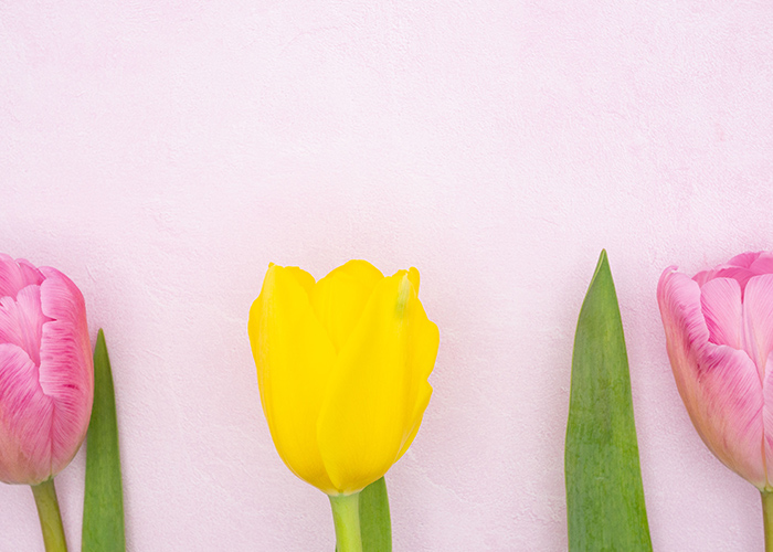 迷ったときに役立つ◎自分に合う4月ネイルの見つけ方