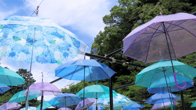 上旬は涼しげに♪梅雨明け前後の手元になじませる