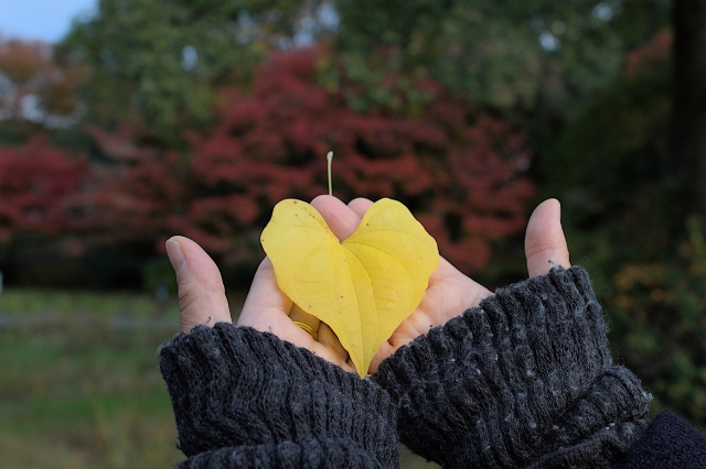 10月ネイルで秋本番の毎日に季節感を添えて♡